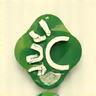 Sustainable Habits Icon